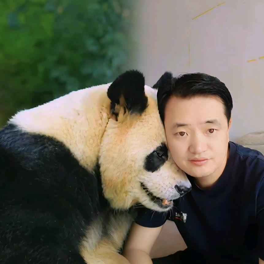 萌宝Panda