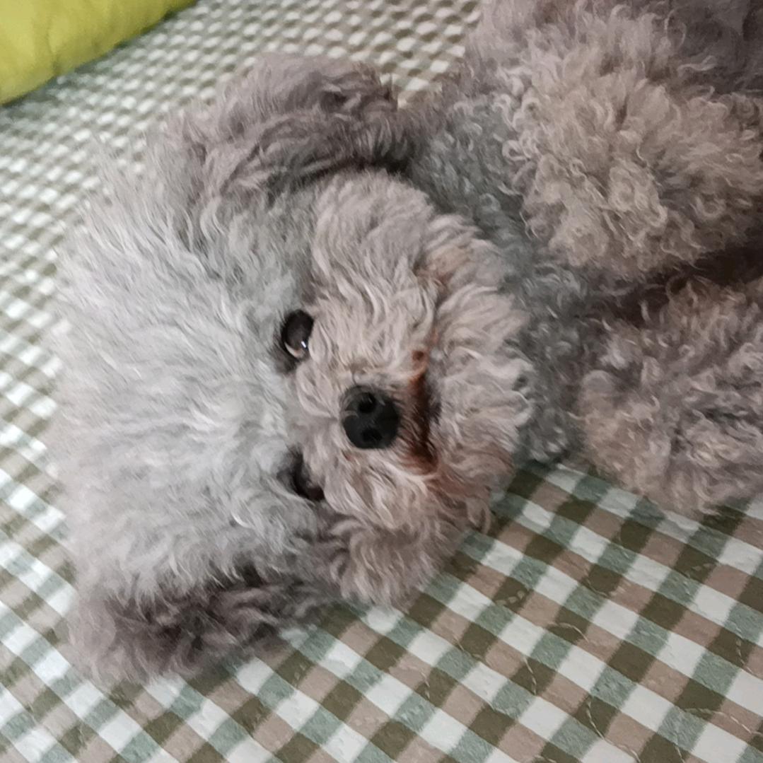 啦啦啦