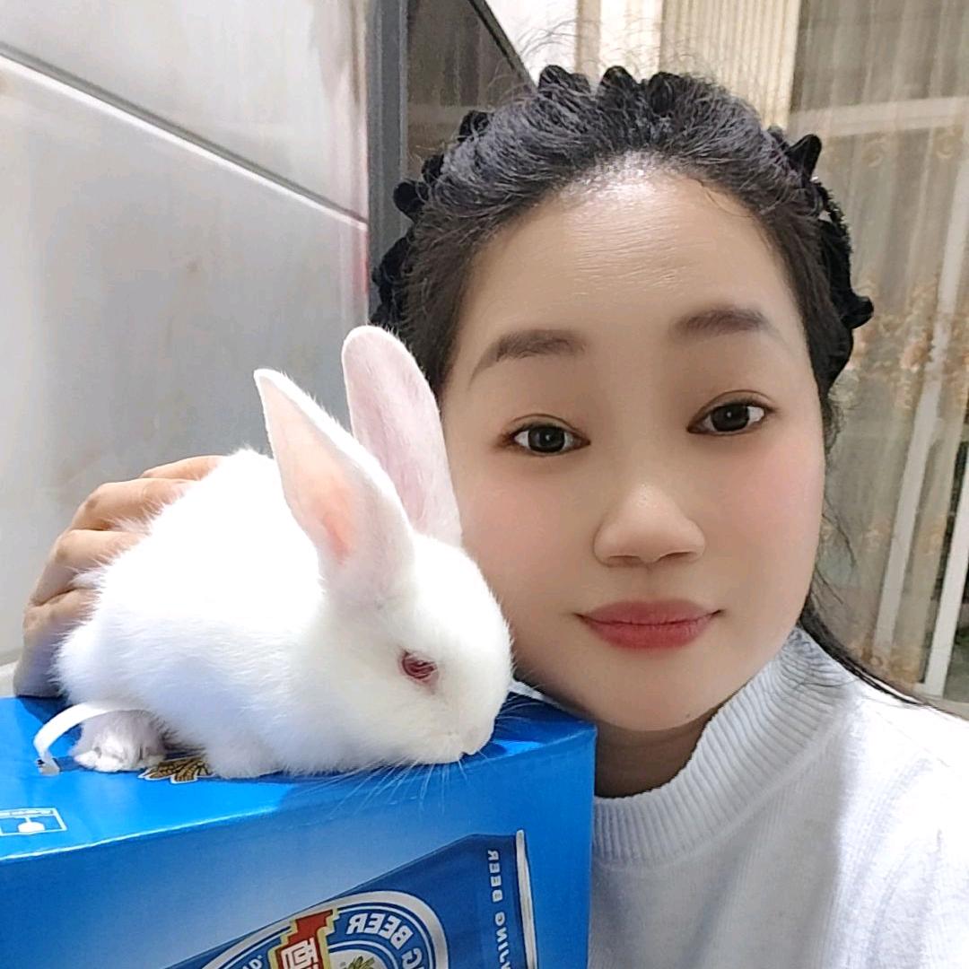 💞好运连连✨