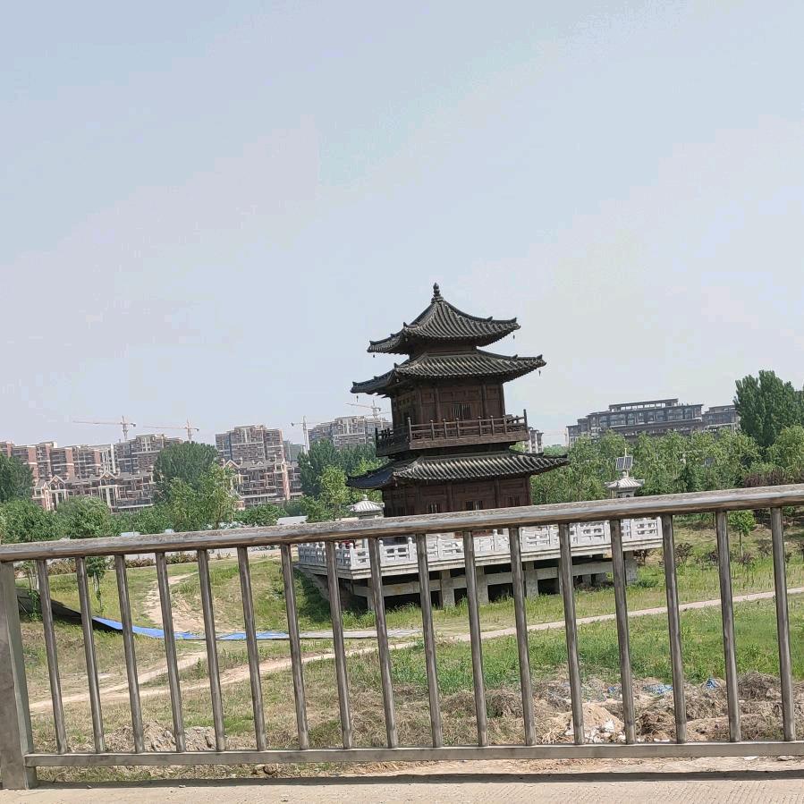 天悦解说