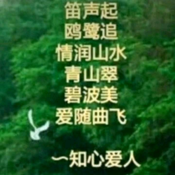 心有阳光。
