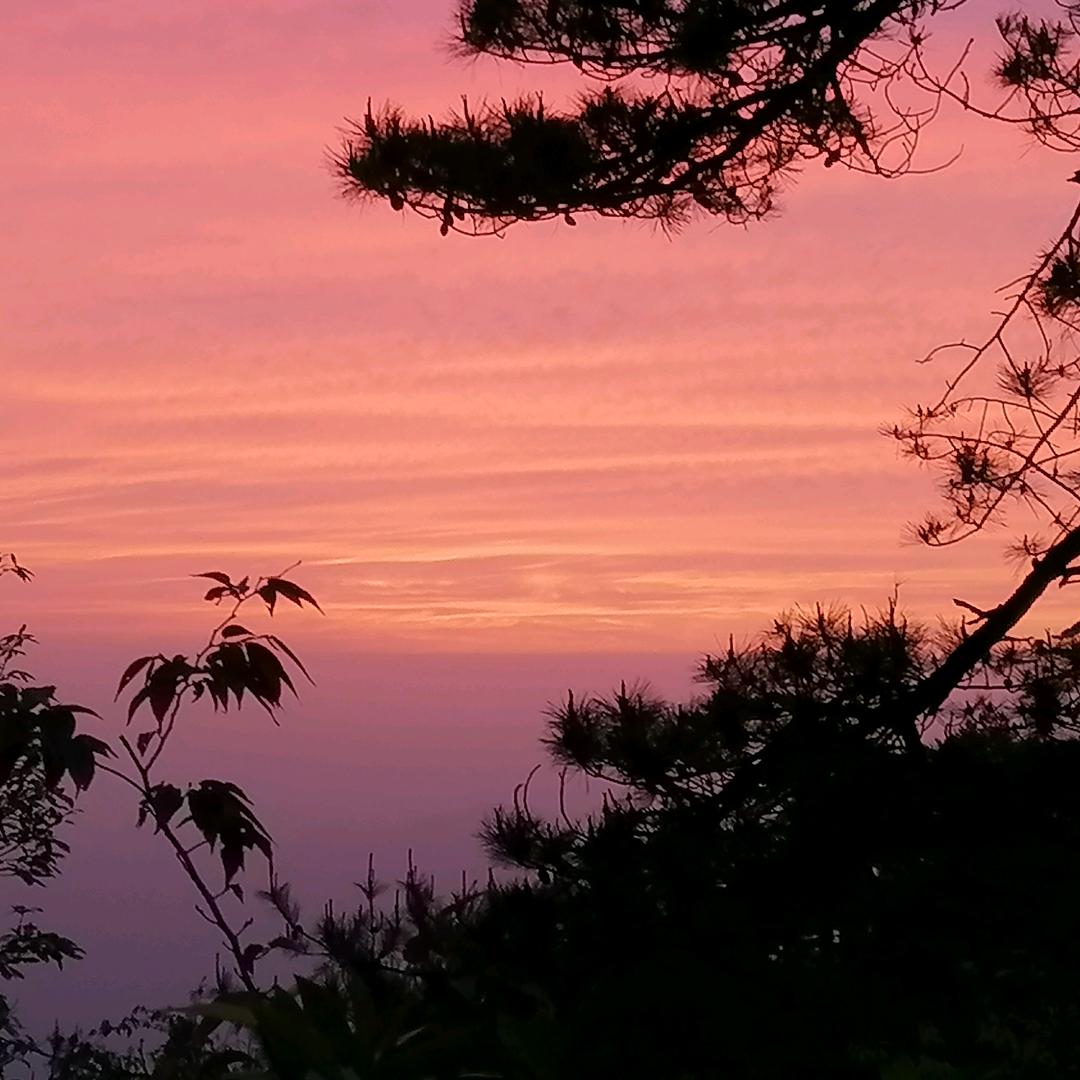 行(●°u°●) 」