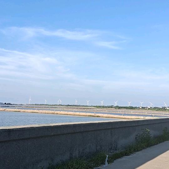 宇琳