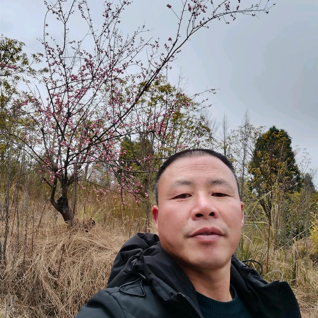 阳光路上