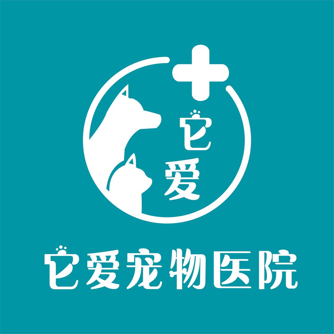 泗阳 它爱宠物医院