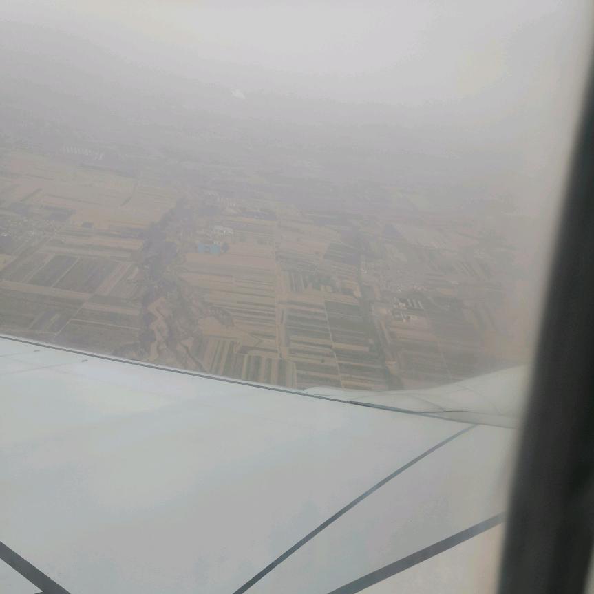 给胸小主播点点赞