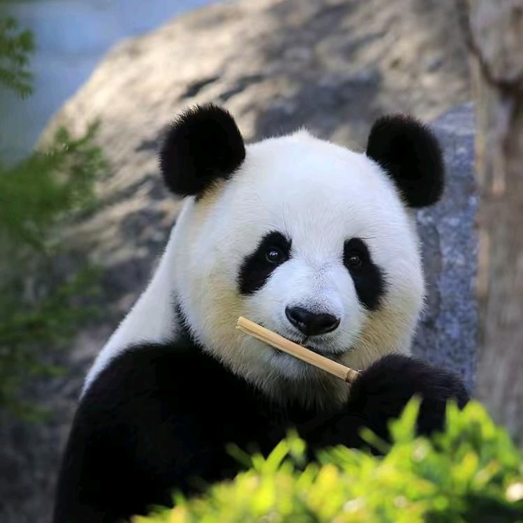 未来你好😁