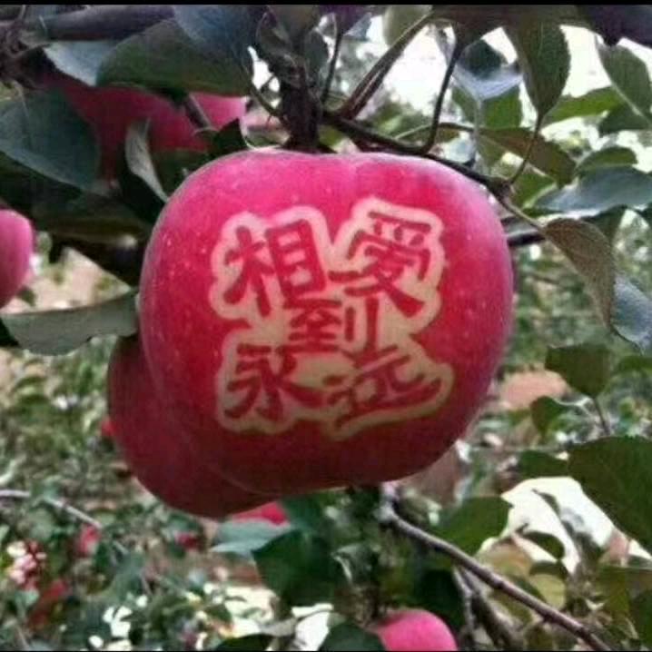 ღ᭄我的快乐就是想你💞᭄࿐