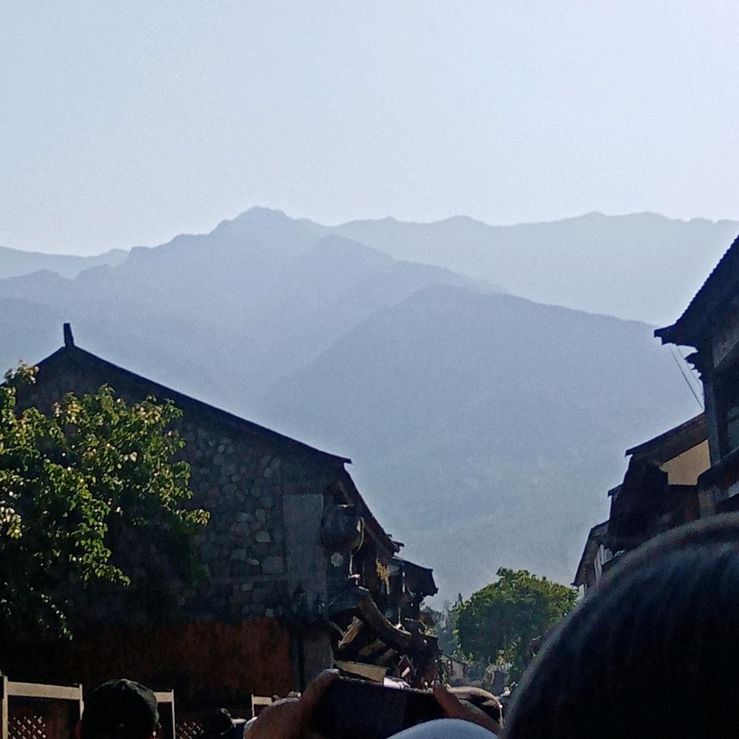 大山老熊