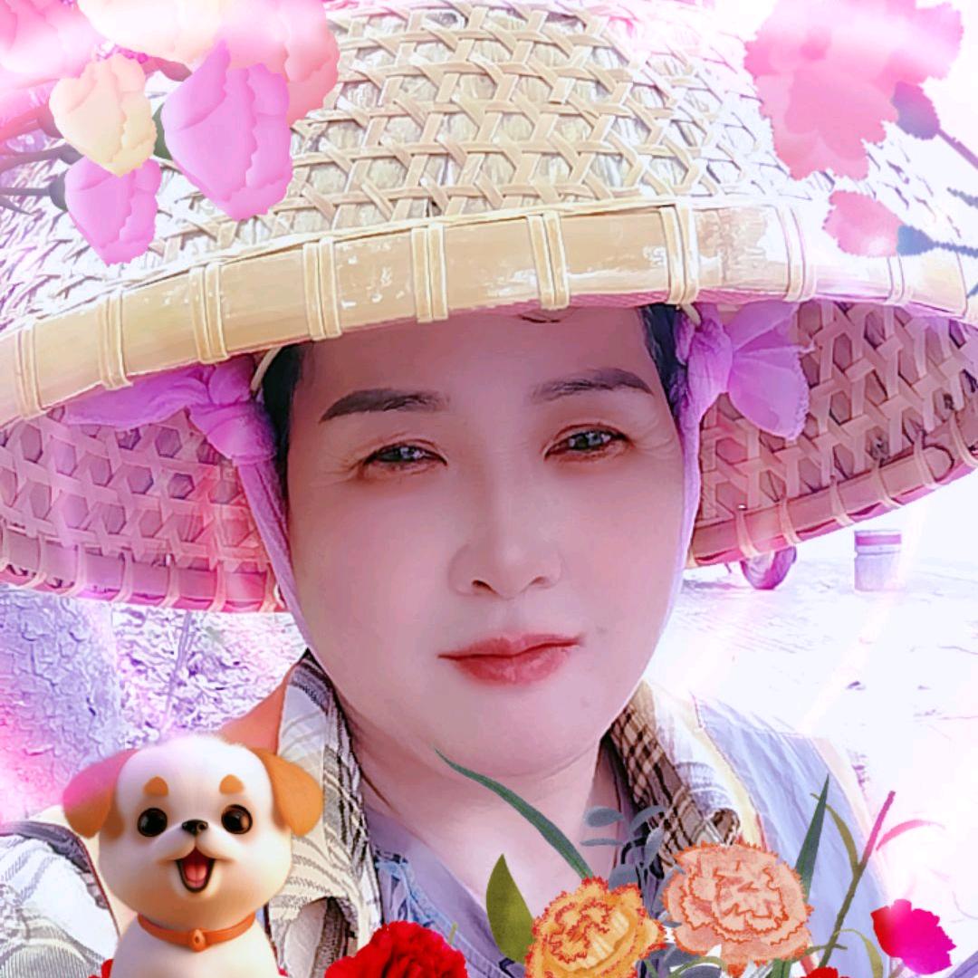 其实我很累🌹🌹