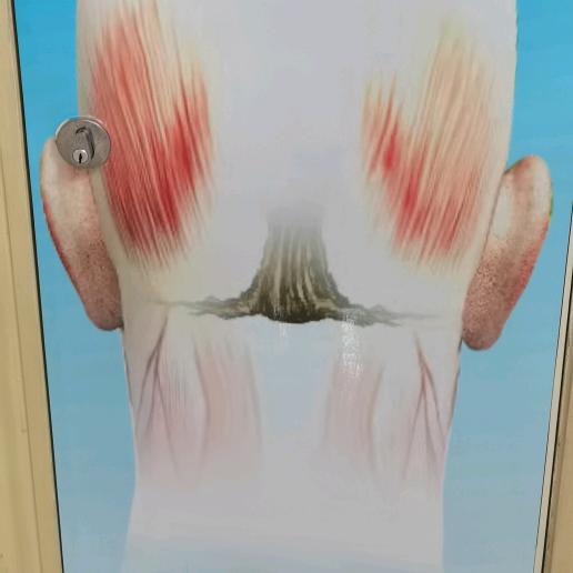 定风藤