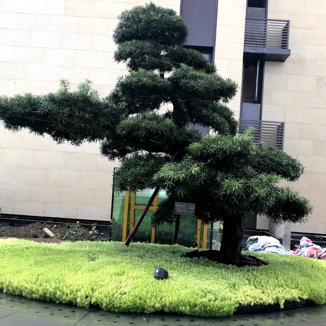 平度市坤仔生鲜店