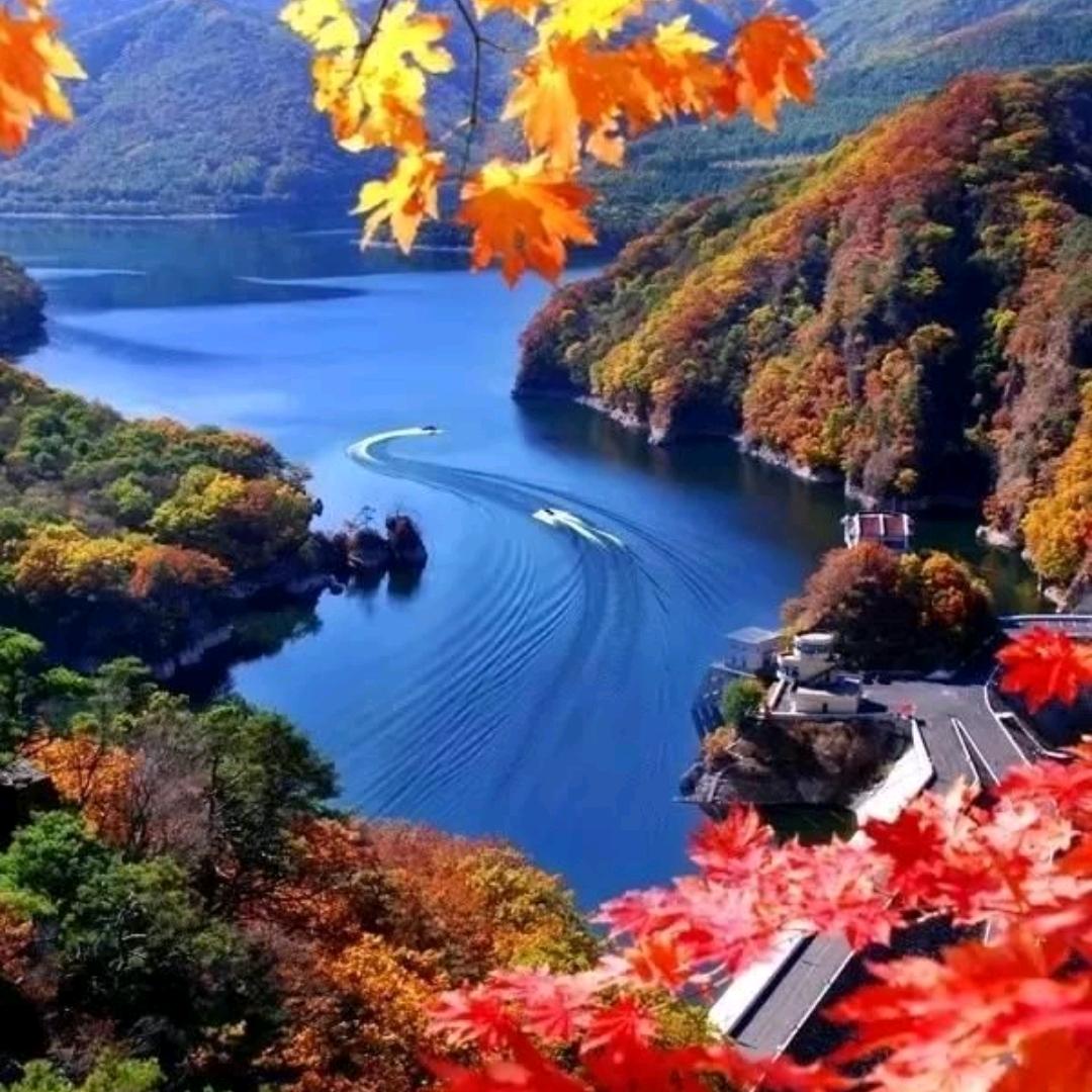 🌾🌾钱🔥程🌺🌺🌎