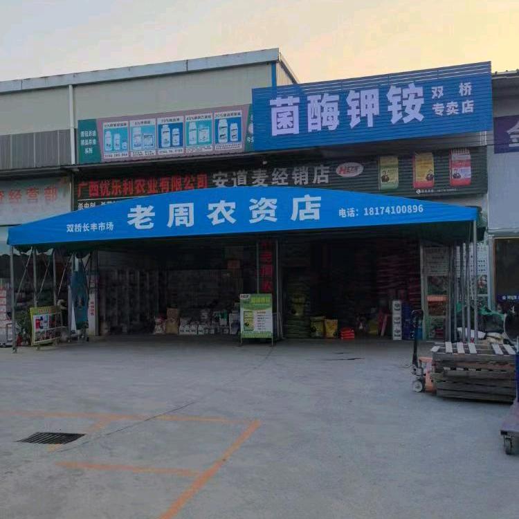 老周讲柑橘种植