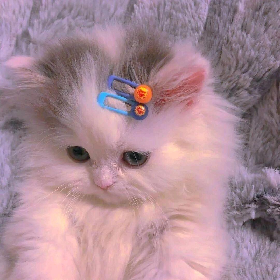 晚灯