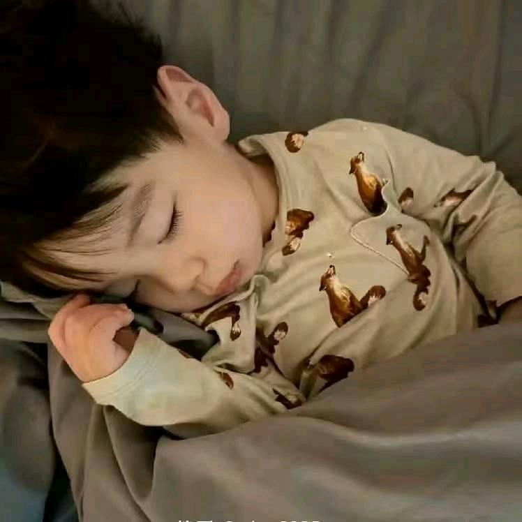 秋🍂.