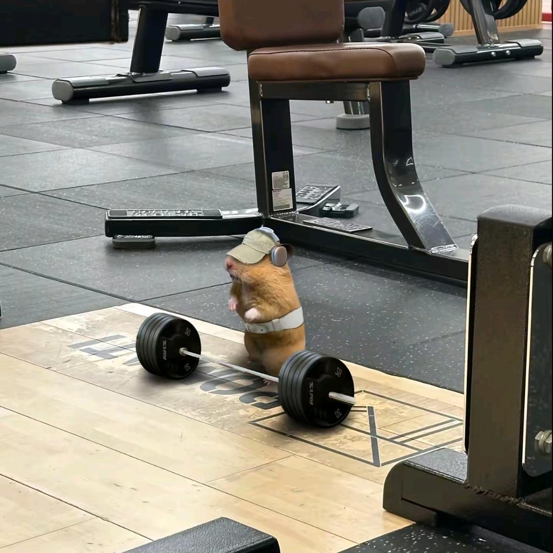 乔               .