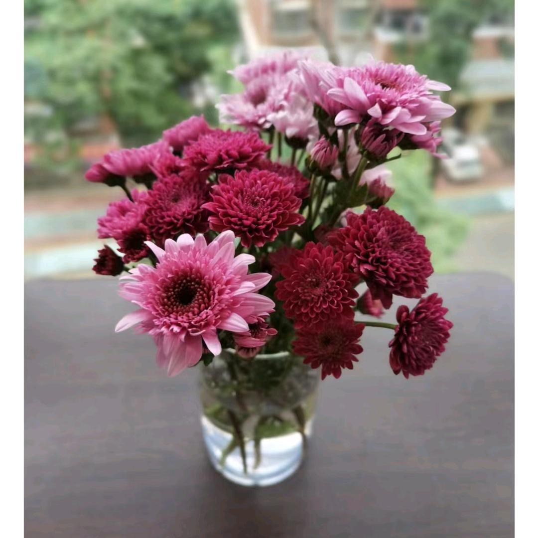 愿平安健康🌹🌹