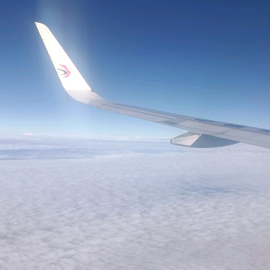 造船洪哥