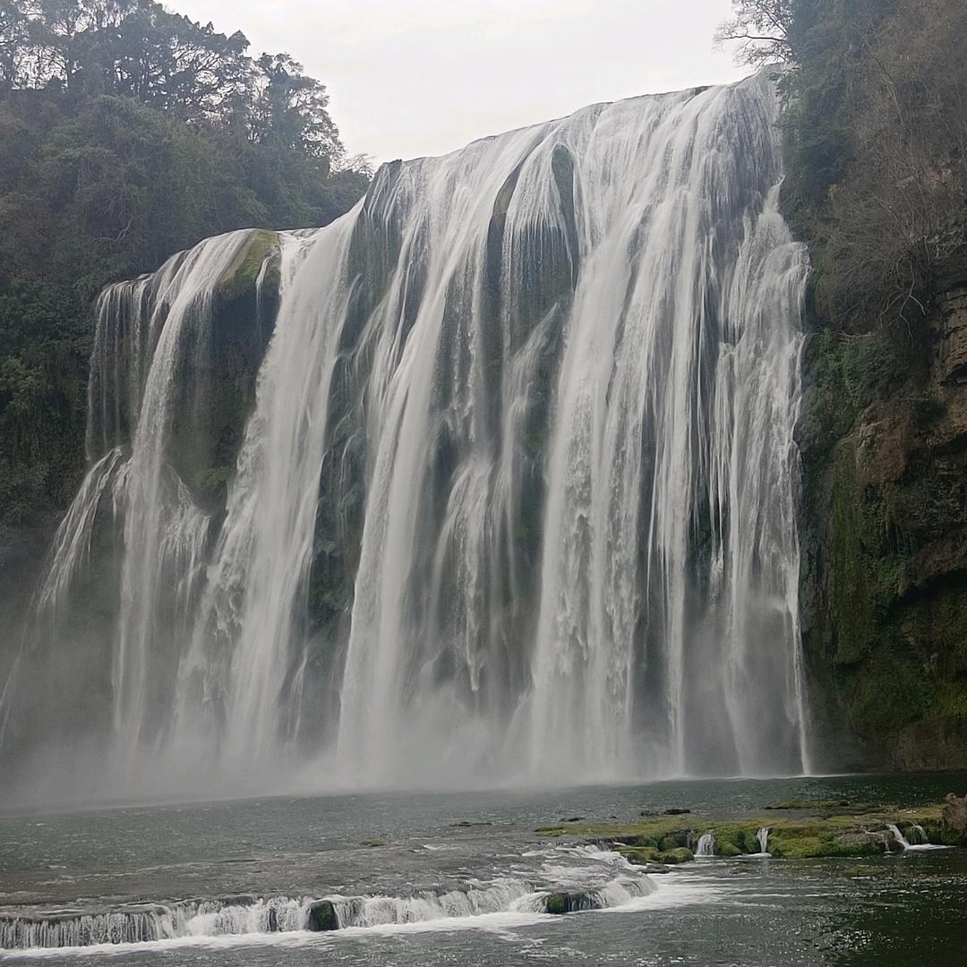 极地雄鹰