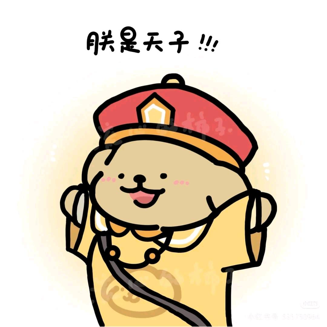 是大运河吖