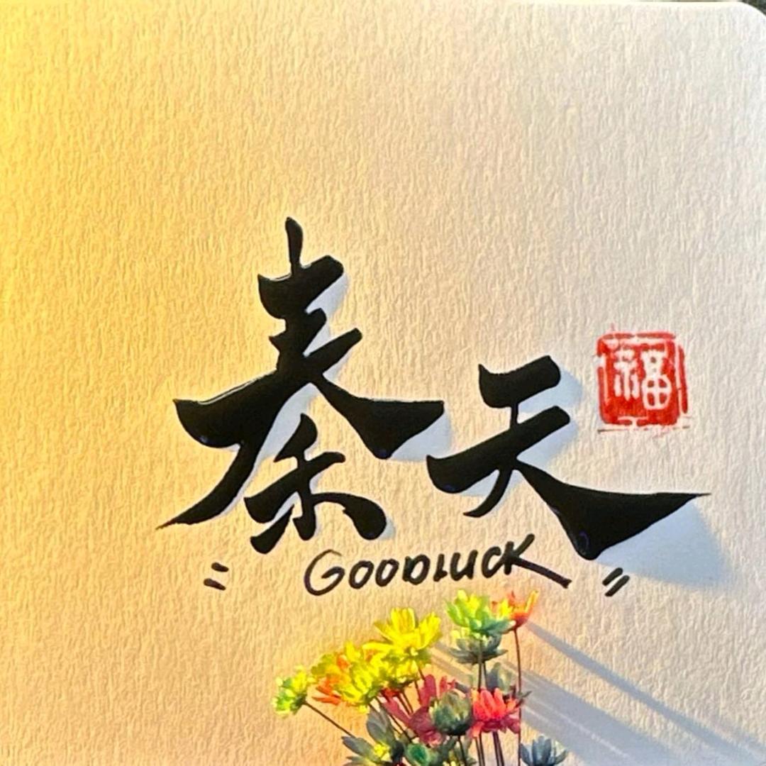 掏你兜兜
