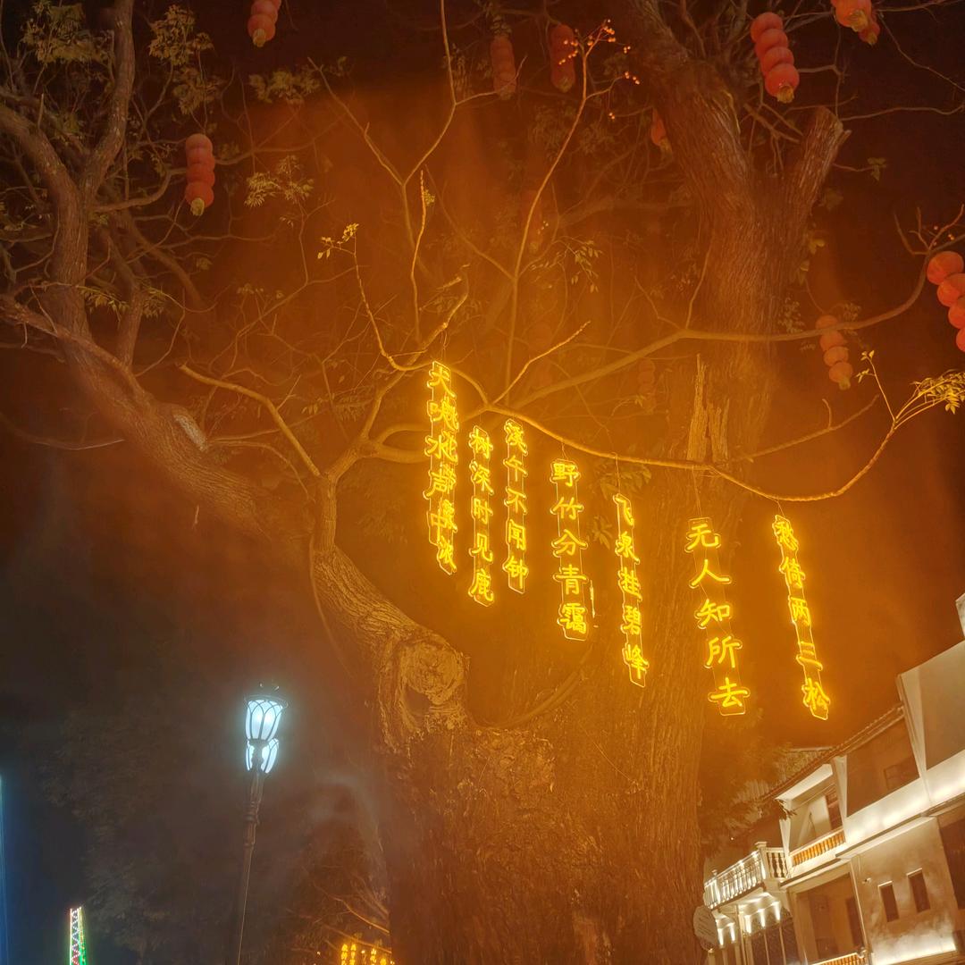 偷得红尘半日闲