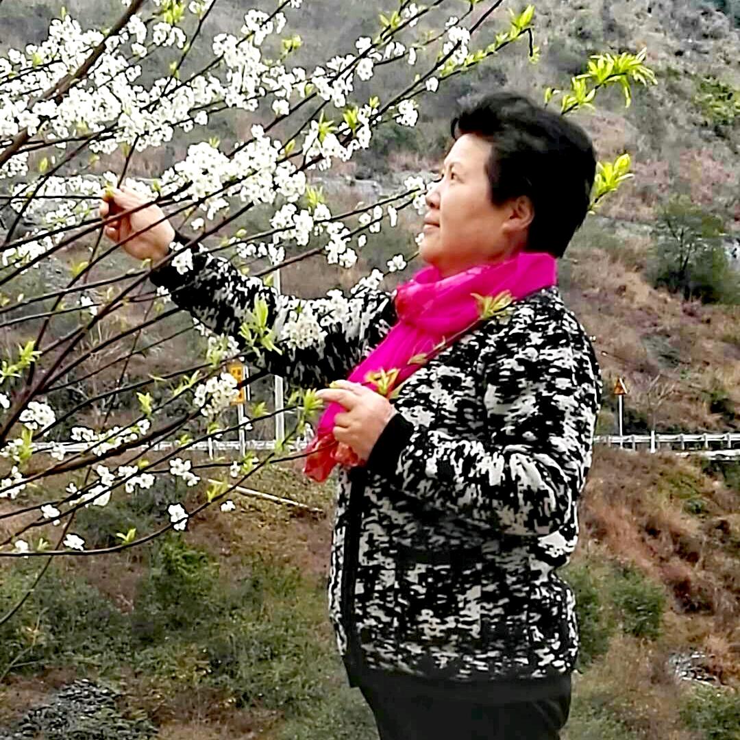 花菜（手机拍攝）