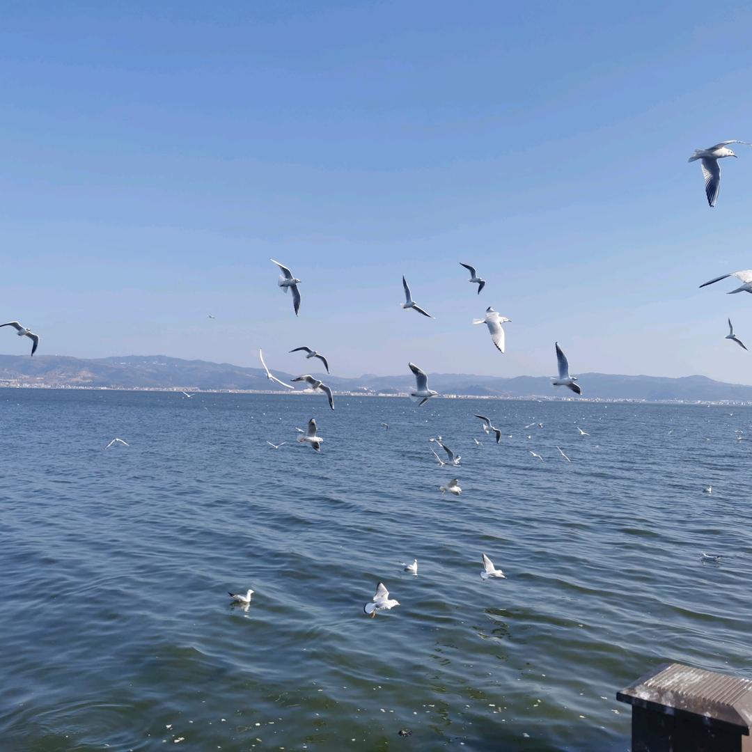 曲靖步步升教育何老师