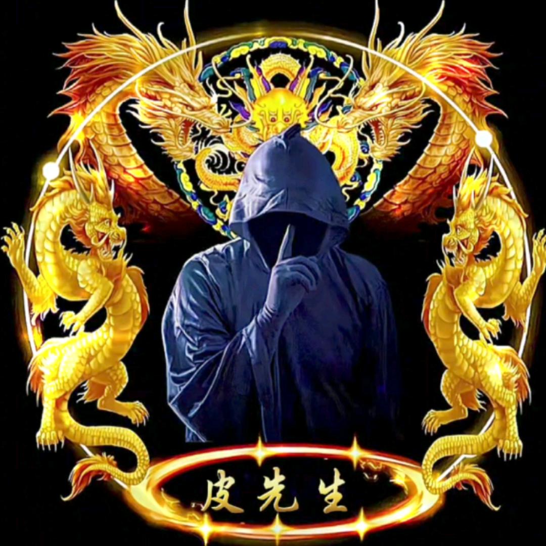 🐲皮先生🐲