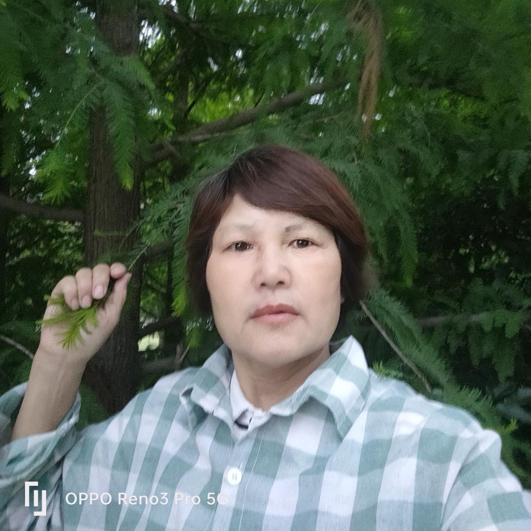 刘姐