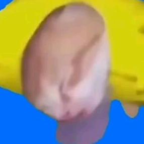 猫嚎