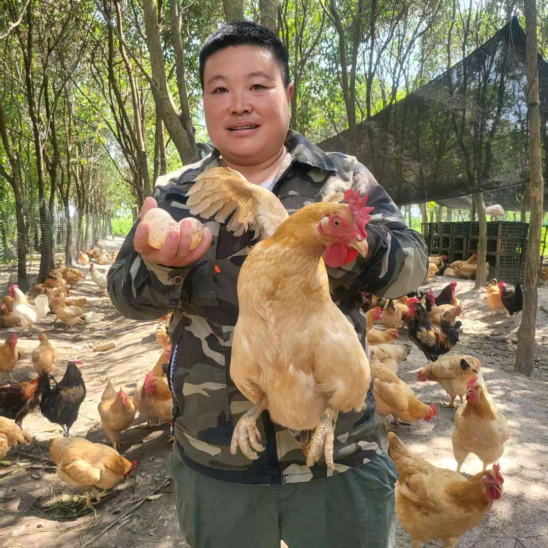 老四农人