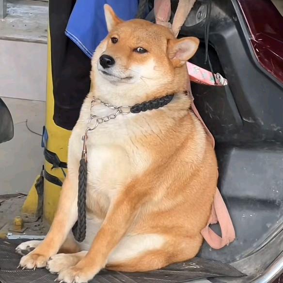 森灵
