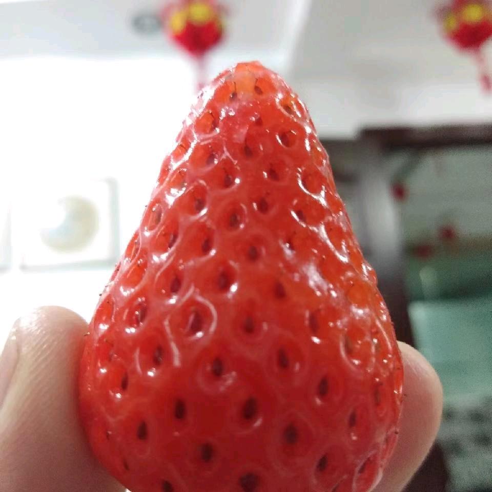 速…度