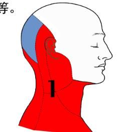 五月大哥