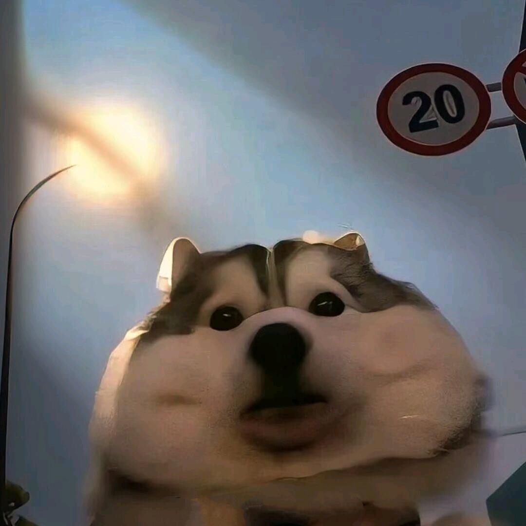 泷