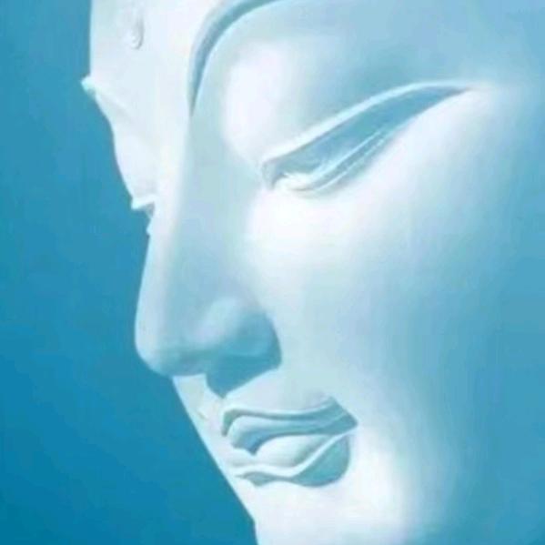 杨轩年