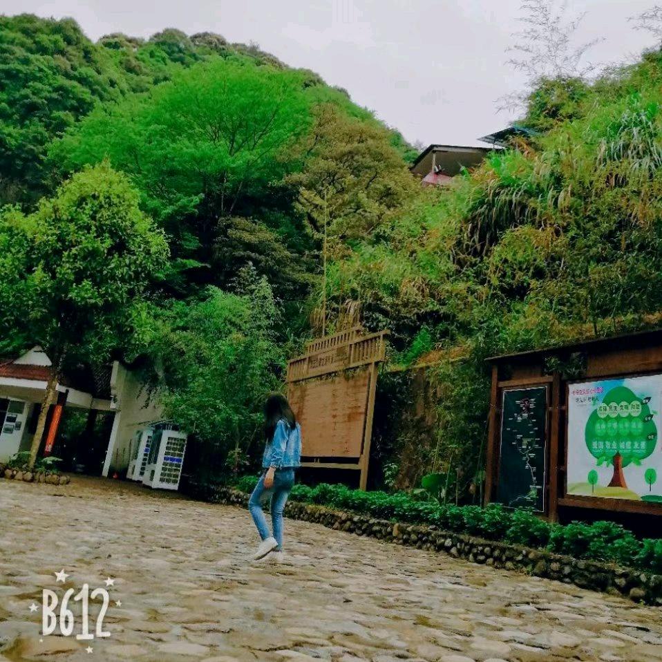 画个圈圈兜住幸福