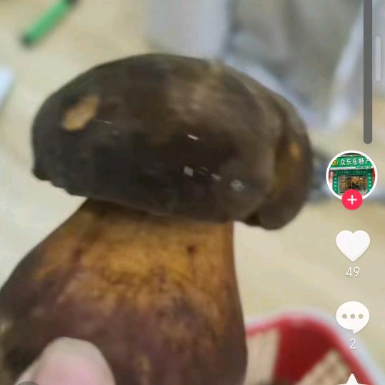 谭禄俊单身爸爸