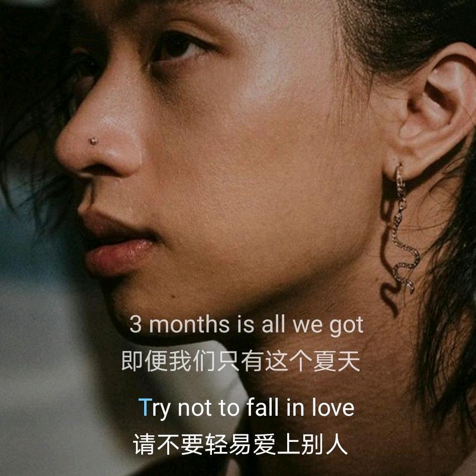 猫与蛇