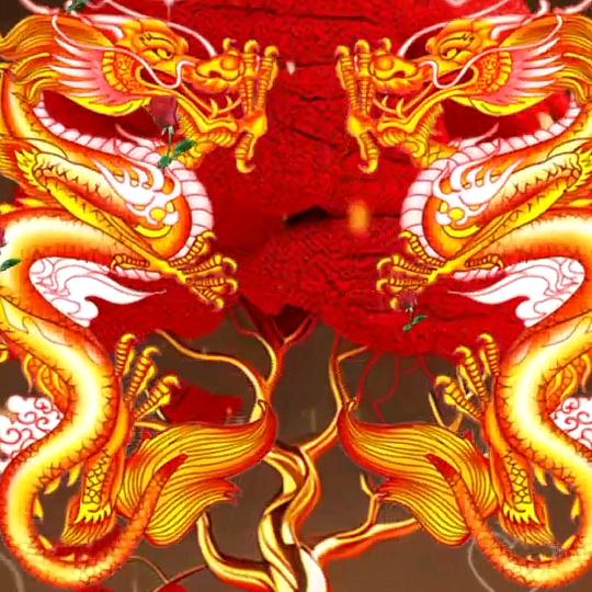 🌹杨🔥洋🌈