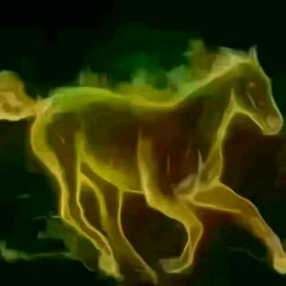 涿州金诺车行批发零售