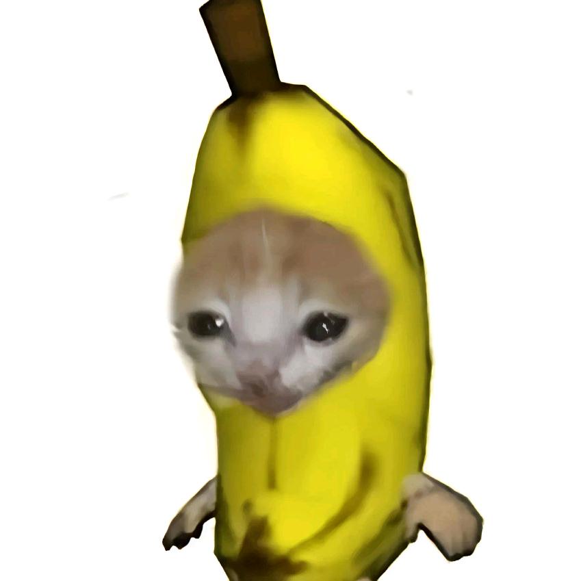 小meme(专剪猫meme)