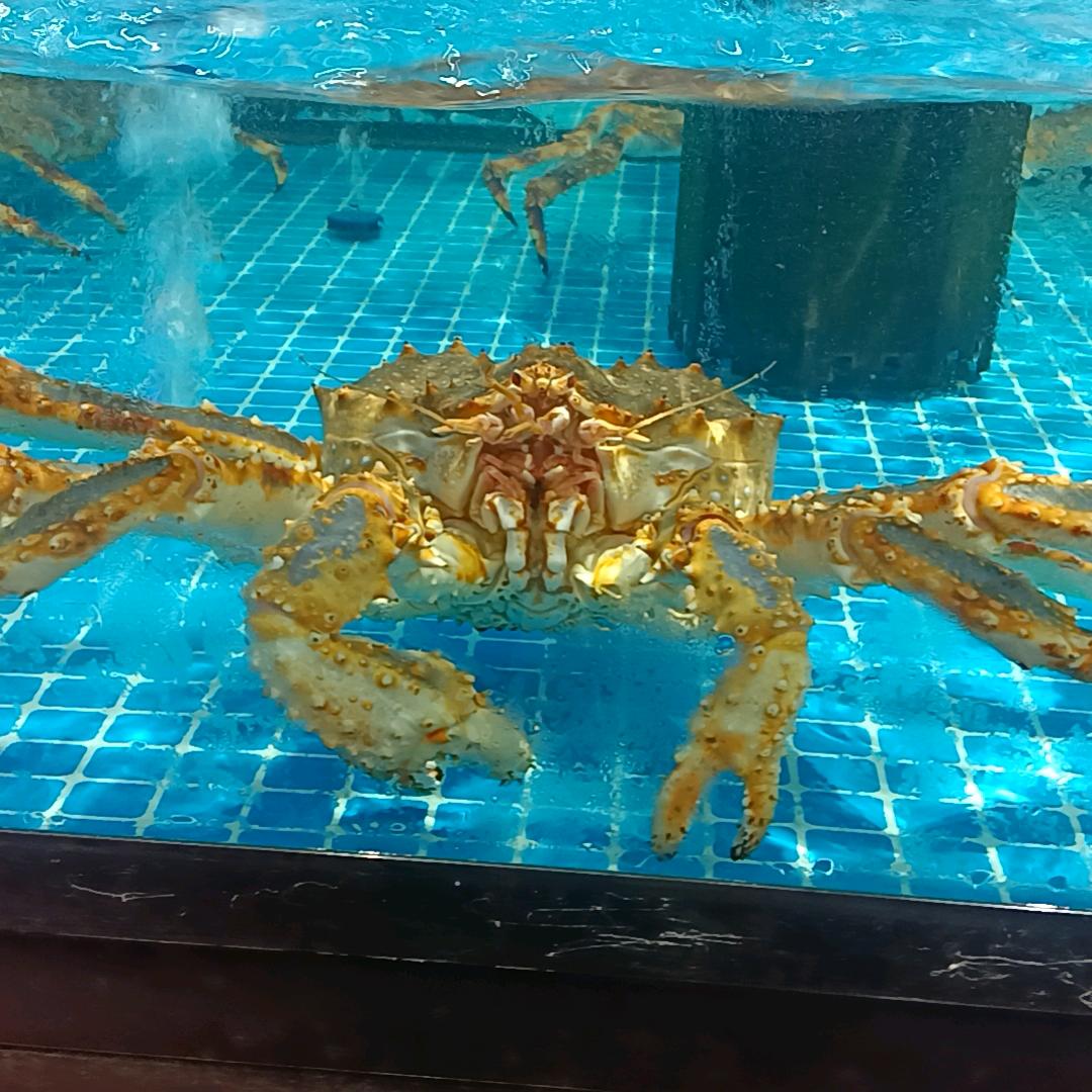 回忆往事