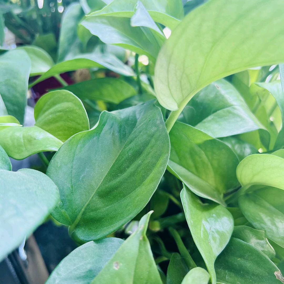 💞@为了幸福࿐