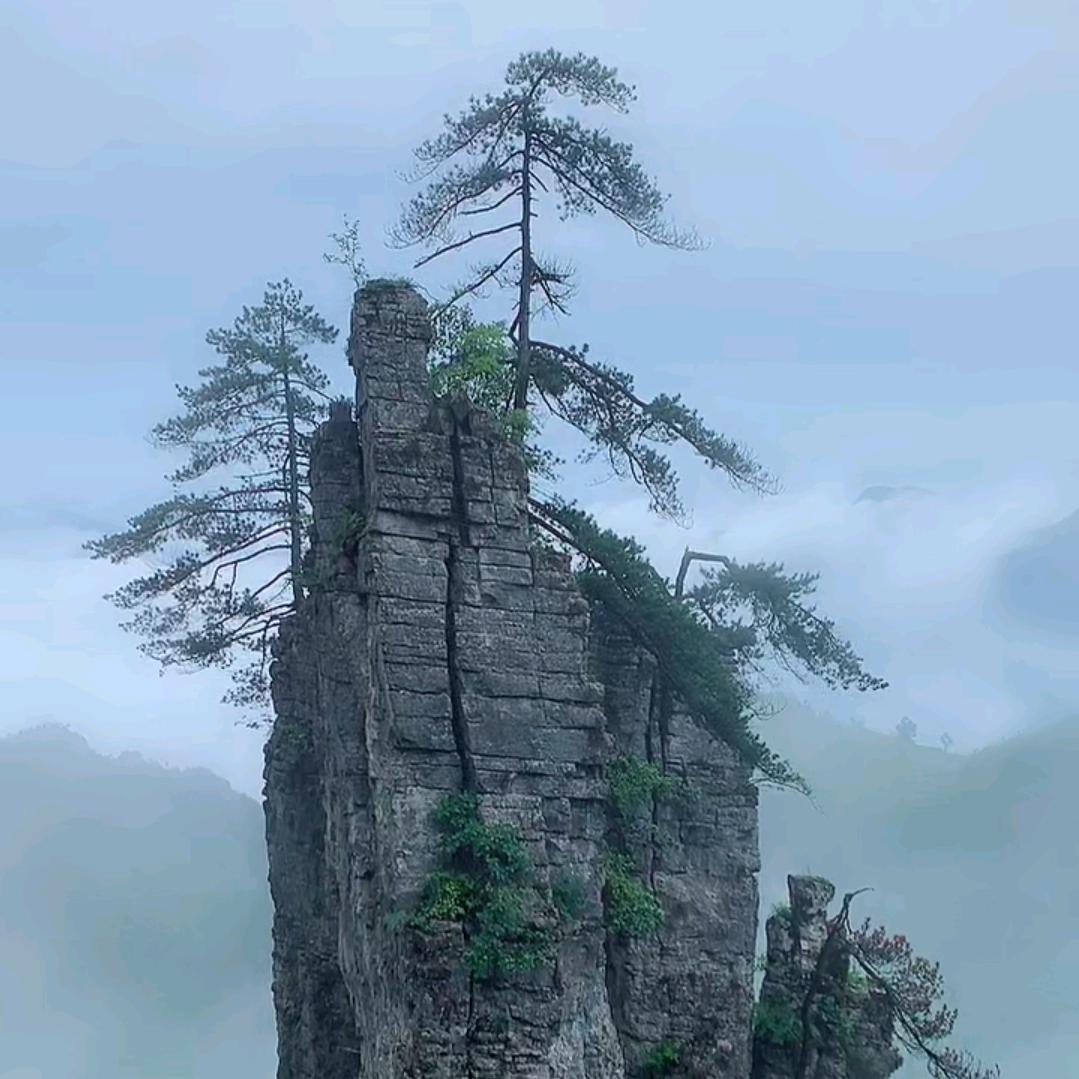 人过留名