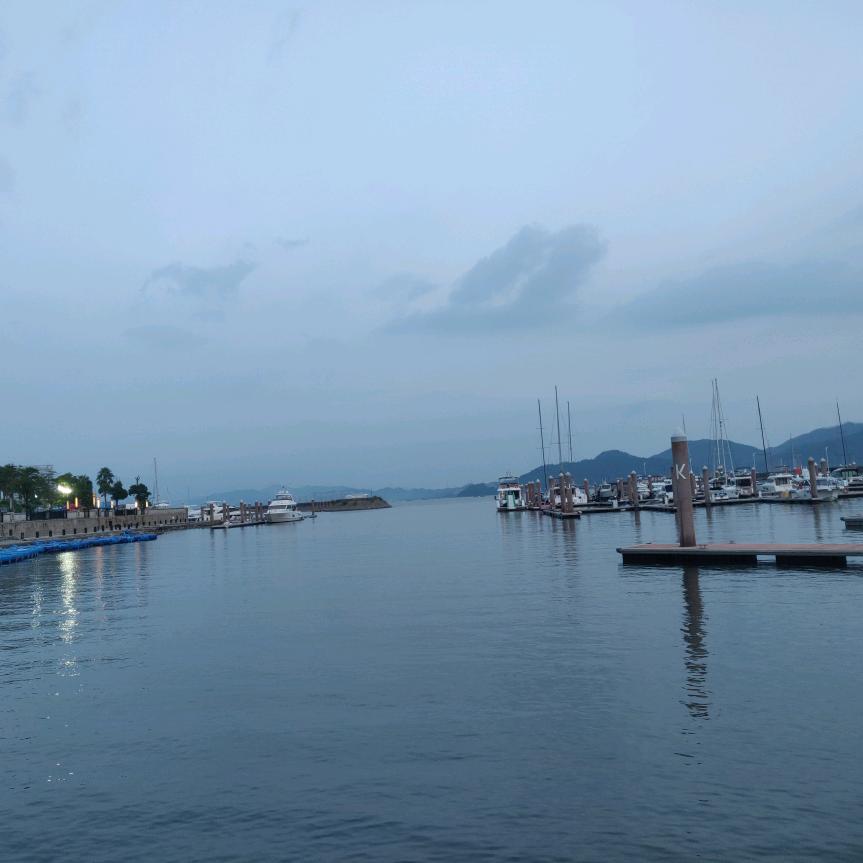 田田