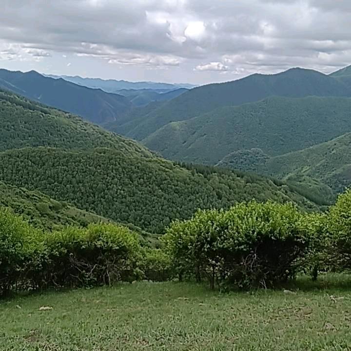 夏季的风