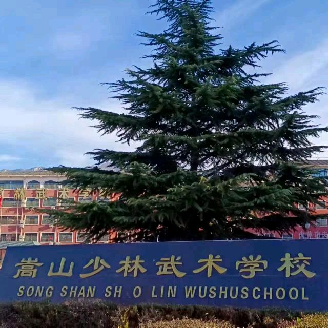 郑州嵩山少林武术招生咨询